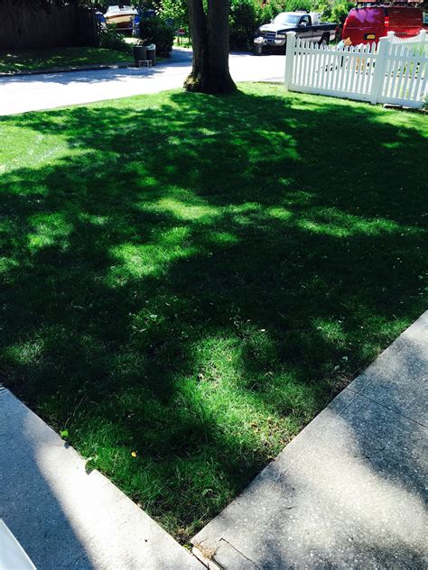 Enhance your curb appeal with Enerald magic lawn care in Holtzville.